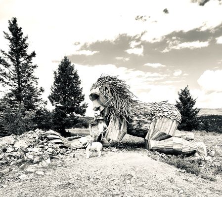 RITA THE ROCK PLANTER - Updated February 2026 - 66 Photos & 13