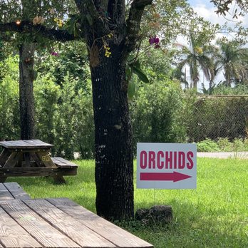 By Brothers - They have a beautiful Orchid area - Fruits & Veggies Near Me - Miami, Florida By Brothers - They have a beautiful Orchid area - Fruits & Veggies Near Me - Miami, Florida