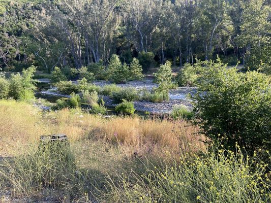 Peter Strauss Ranch by null