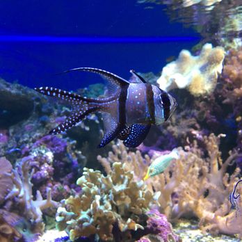 Aquaria Vattenmuseum - Museums Near Me - Stockholm, Alberta