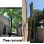 Photo of H Tree Service