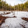 Photo of Cataraqui Region Conservation Authority
