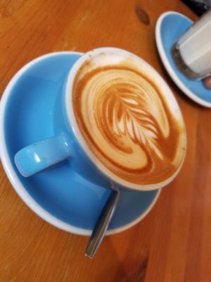 Black & Bloom by null