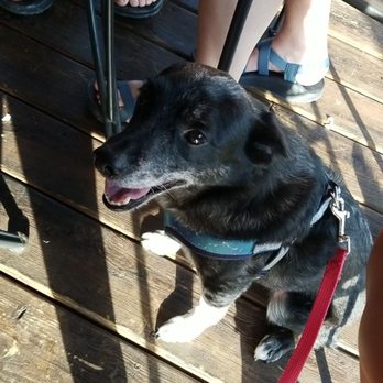 Stone House Tavern - Dog friendly patio, always a perk if you have furry family members. - American Near Me - Waynesville, Ohio