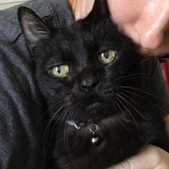 Sweet-Grace Pet Care - Veterinarians Near Me