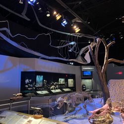 Florida Museum of Natural History Gift Shops