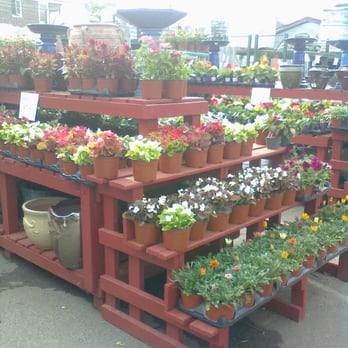 Garden World - Nurseries & Gardening Near Me - Flushing, New York Garden World - Nurseries & Gardening Near Me - Flushing, New York