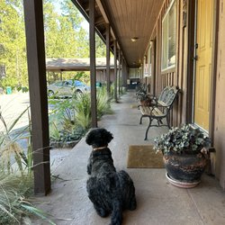 Rock Creek Inn - The porch