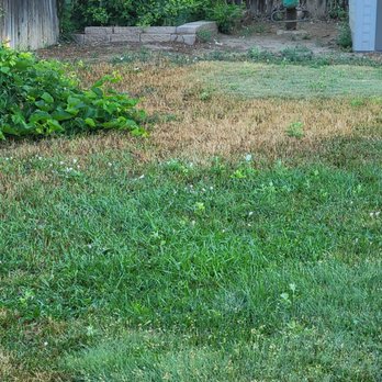 American Turf & Tree Care - Tree Services Near Me - Greeley, Colorado American Turf & Tree Care - Tree Services Near Me - Greeley, Colorado