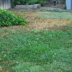 American Turf & Tree Care