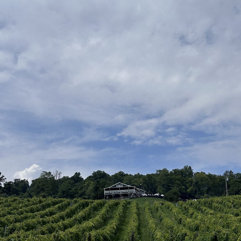 Bluemont Vineyard - Venues & Event Spaces Near Me - Bluemont, Virginia Bluemont Vineyard - Venues & Event Spaces Near Me - Bluemont, Virginia