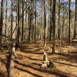 Tribble Mill Park - Hiking area of Tribble Mill Park (Chandler Rd Entrance)