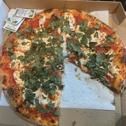 Margherita Pizza Margherita Pizza