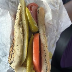 Firehouse Hot Dogs - Chicago style dog