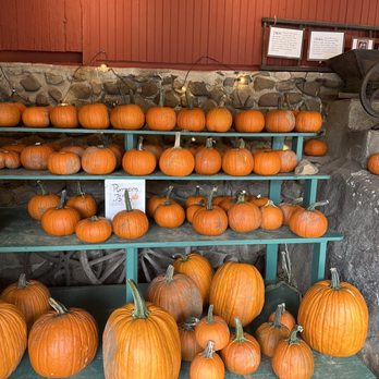 Rogers Orchards - Home Farm - Pumpkins - Fruits & Veggies Near Me - Southington, Connecticut Rogers Orchards - Home Farm - Pumpkins - Fruits & Veggies Near Me - Southington, Connecticut