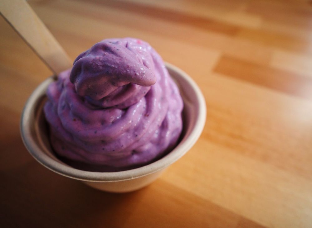 Welly’s Real Fruit Ice Cream Logo