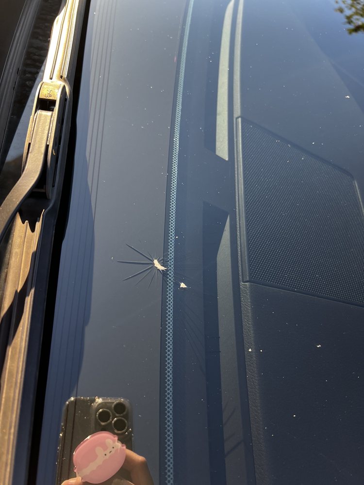 WL AUTO GLASS Davenport, Florida Auto Glass Services Phone Number