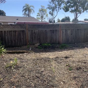 Ramces Tree Services - He removed the stump and root. I can't see where it was. - Tree Services Near Me