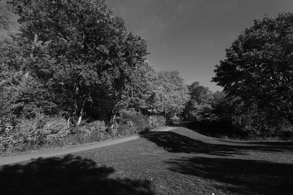 Etobicoke Valley Park Image
