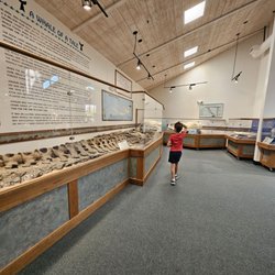Ralph B. Clark Paleontology Museum - A whale which had legs!