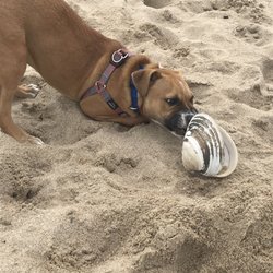 Bayview Beach - Not super crazy about those clams...