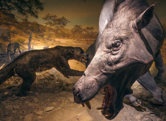 Ancient Ozarks Natural History Museum by null