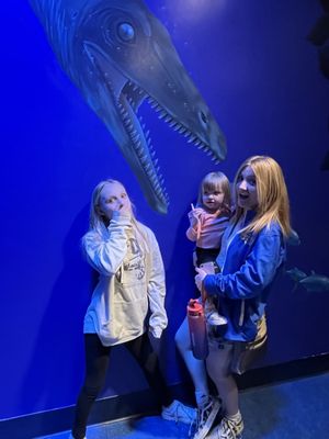 Newport Aquarium by null