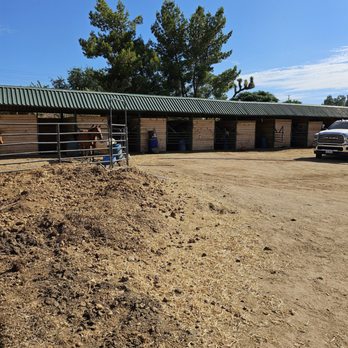 SoCal Horse Adventures - Horse stables - Horseback Riding Near Me - Palmdale, California SoCal Horse Adventures - Horse stables - Horseback Riding Near Me - Palmdale, California