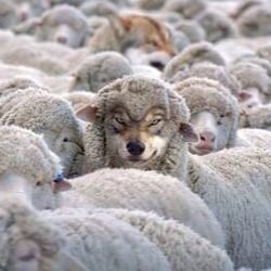 New England Plumbing