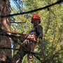Photo of Bakke Tree Care
