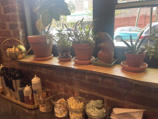 Mighty Oak Roasters by null