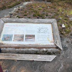 Davidson-Arabia Nature Preserve