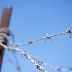 Ware Fencing