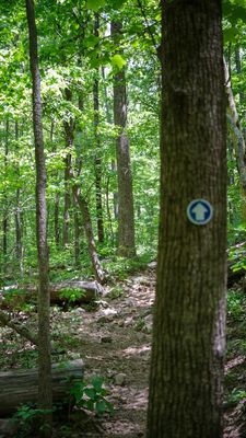 Oak Mountain State Park by null