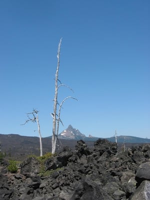 McKenzie Pass by null