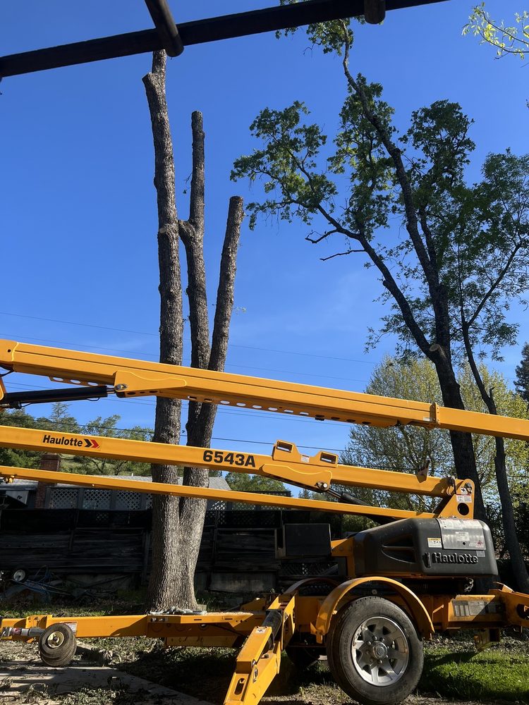 ATC TREE SERVICES Updated September 2024 Ukiah, California Tree