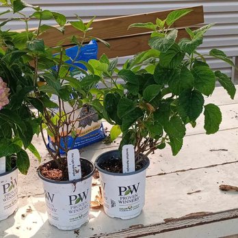 GrowJoy - Nurseries & Gardening Near Me - Berne, Indiana GrowJoy - Nurseries & Gardening Near Me - Berne, Indiana