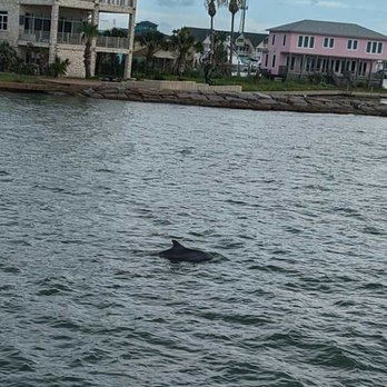 Dolphin Dock - Fishing Near Me - Port Aransas, Texas Dolphin Dock - Fishing Near Me - Port Aransas, Texas
