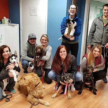 Pawlished Dog Training - Pet Training Near Me - Mentor, Kentucky