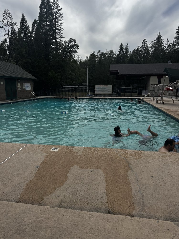 Twain Harte Swimming Pool Logo