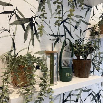 Bloome Fruit Tea & Cafe - Cafes Near Me - Stamford, Connecticut