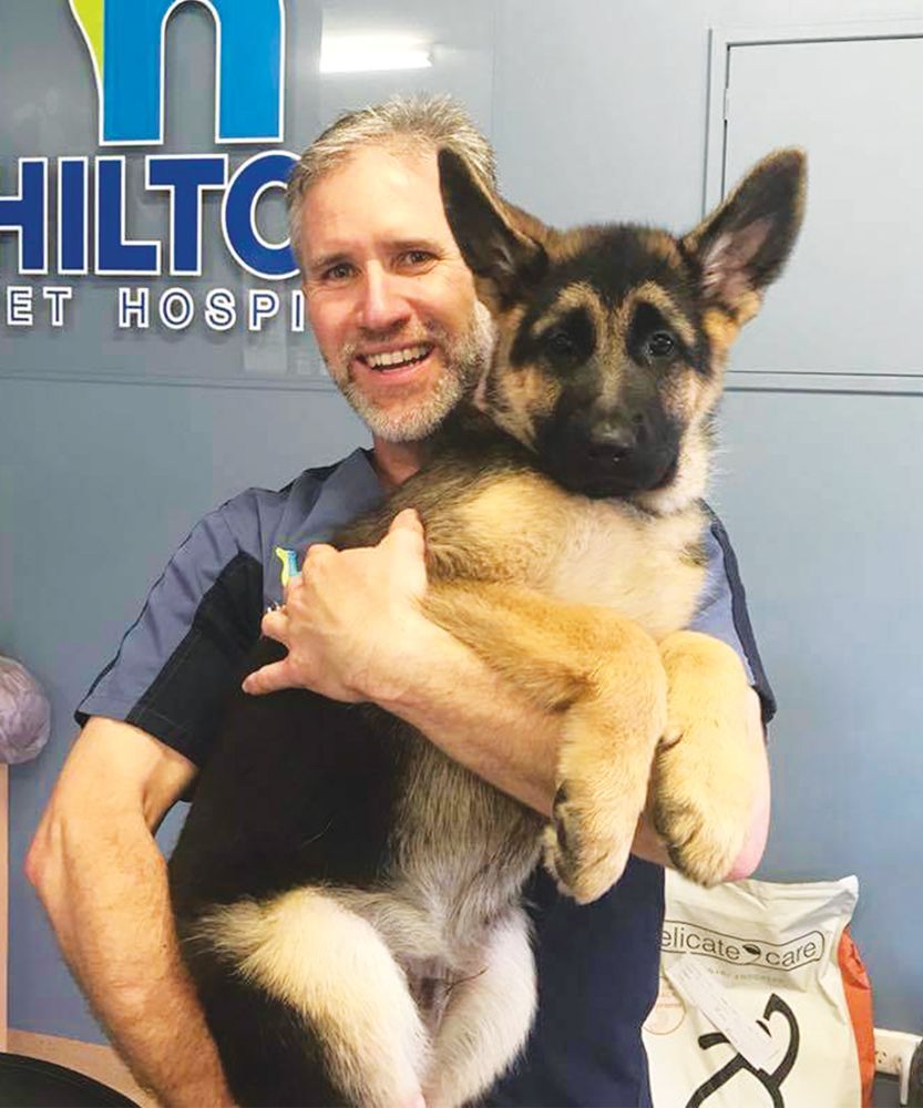 HILTON VETERINARY HOSPITAL Updated September 2024 294 South St