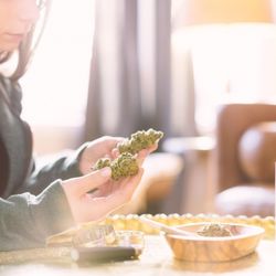 Catalyst Cannabis