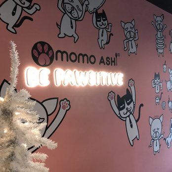 Momo Ashi - Inside..white Xmas tree in time for the holidays - Bubble Tea Near Me - Bayside, New York Momo Ashi - Inside..white Xmas tree in time for the holidays - Bubble Tea Near Me - Bayside, New York