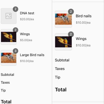 All Things Birds - January Vs November - Bird Shops Near Me - Canyon Country, California