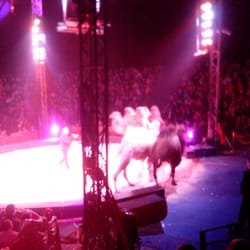 Bouglione - Petit cirque en famille...
