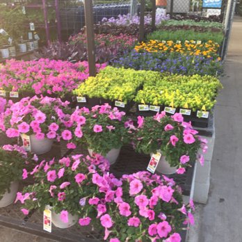 Lowe's Home Improvement - Hardware Stores Near Me - New Braunfels, Texas
