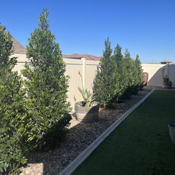 Moon Valley Nurseries - Nurseries & Gardening Near Me - Murrieta, California