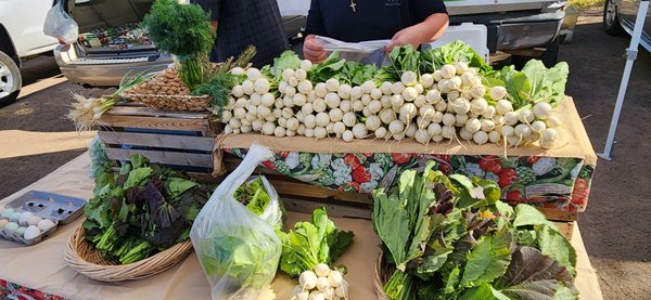 Corrales Growers Market by null