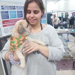 Cute Cuts for Mutts - One of the staff groomers.